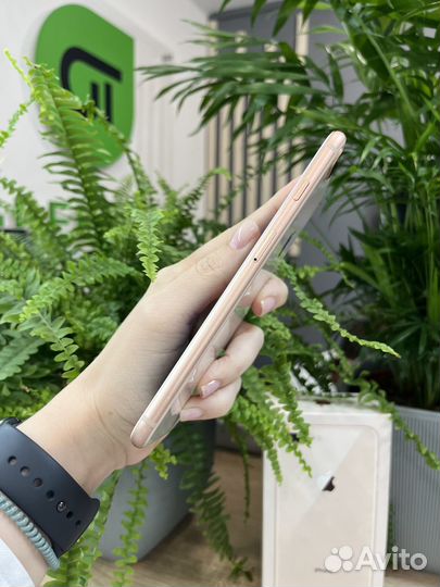 iPhone 8 Plus, 64 ГБ