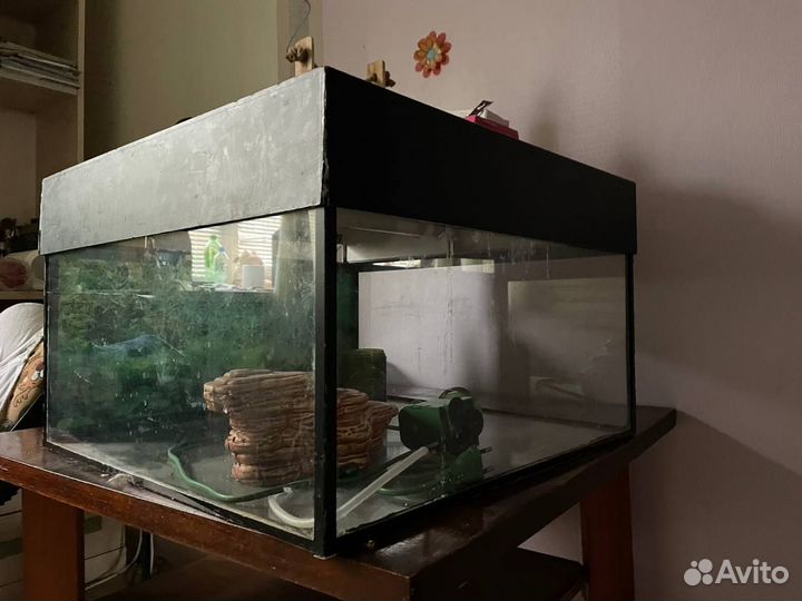 Аквариум для черепах