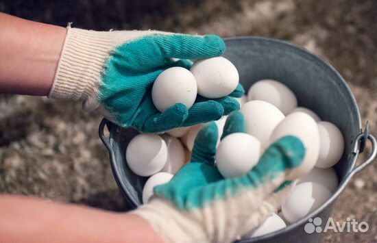 Разнорабочая на Вахту