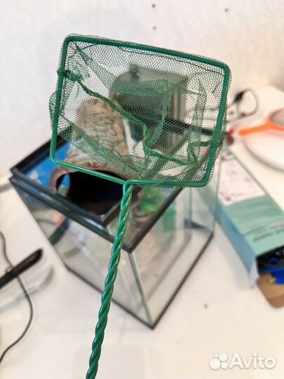 Аквариум с рыбками