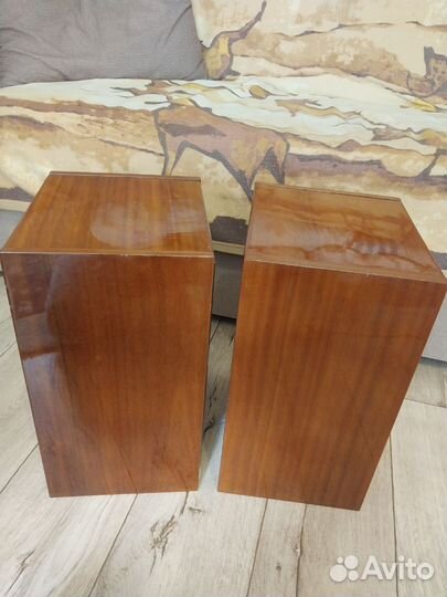 Акустика 10MAC-1M акустические колонки 70е годы