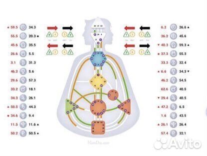 Дизайн Человека (генные ключи,бодиграф,композит)