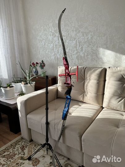 Спортивный лук