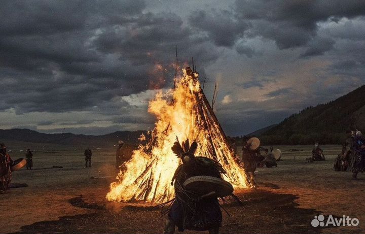 Чай пуэр « Космос шаманов » шмн10081