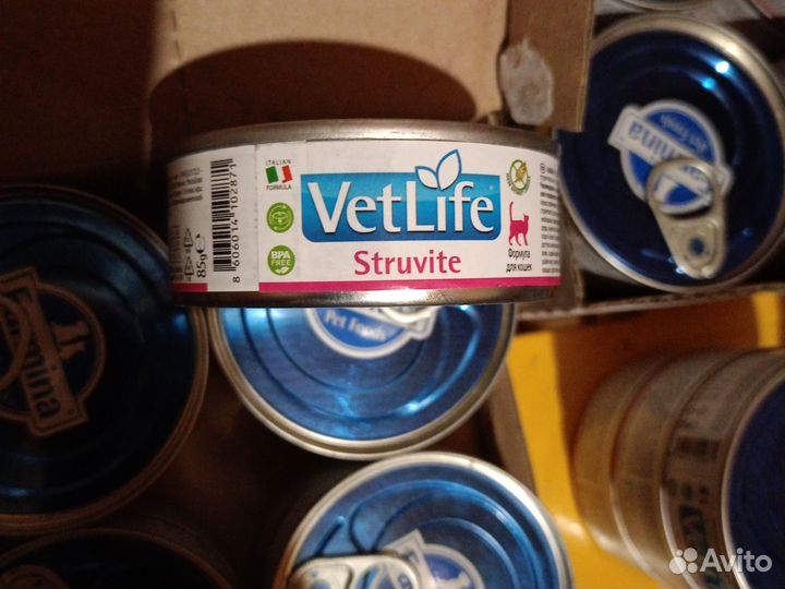 Корм для кошек фармина