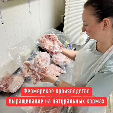 Курица домашняя бройлер. Куры деревенские