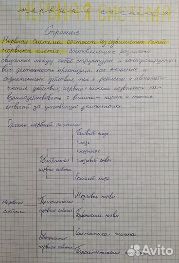 Написание конспектов от руки