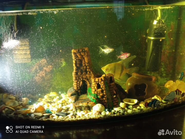 Аквариум с рыбками