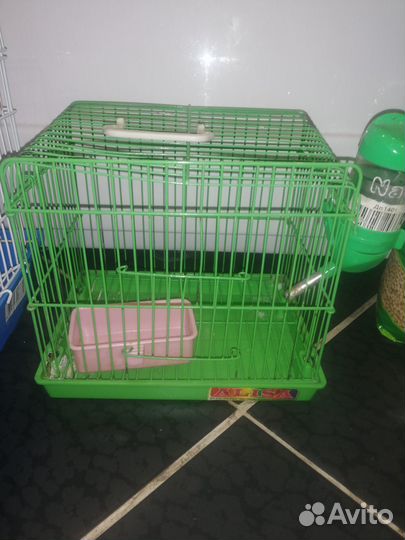 Продам сирийского хомячка с большим приданным