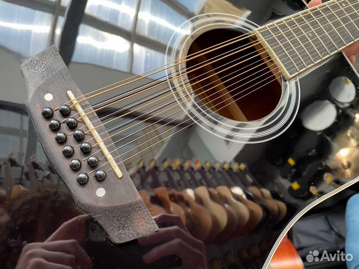 Двенадцати-струнная электроакустика