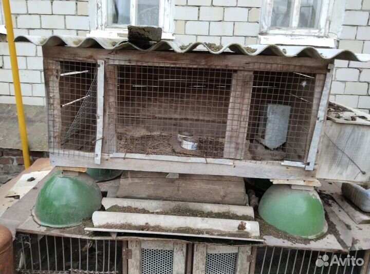 Клетки для кроликов бу
