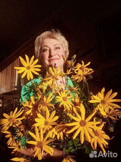 Репетитор начальных классов