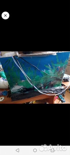 Аквариум