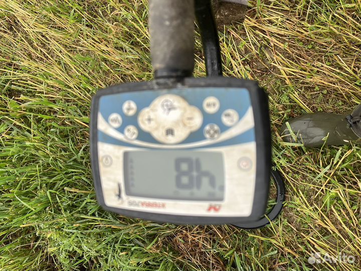 Металлоискатель minelab x terra 705