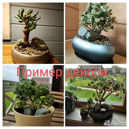 Набор камней для декора (набор для декора)