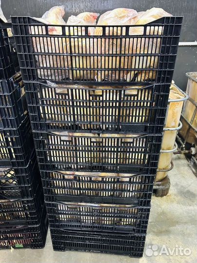 Мясо домашней курицы Баксан