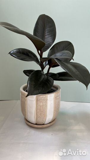 Керамический горшок, ручная работа