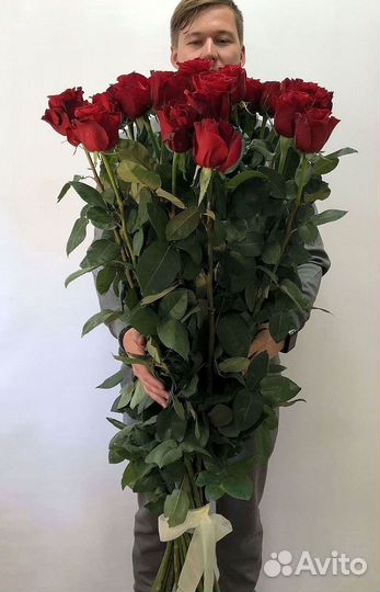 Розы Букеты Цветы Розы 31 101 151 201 Доставка