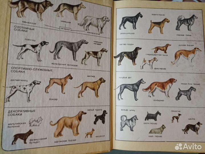 Книга о воспитании собак