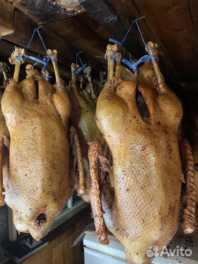 Гуси, гусиное мясо, гуси вяленные, гуси копченые