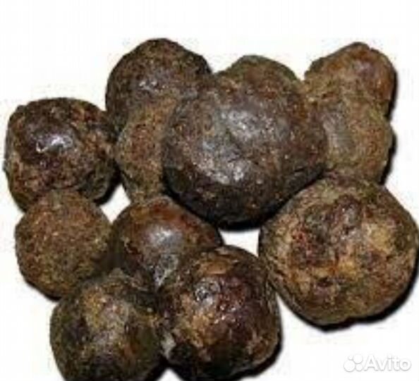 Прополис пчелиный