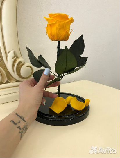 Роза в колбе