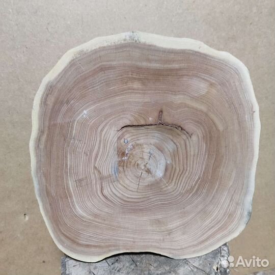 Слэб карагача