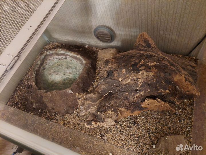 Террариум для рептилий