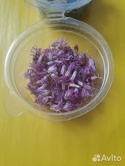 Сухоцветы для творчества мелкие