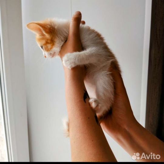 Солнечный мальчик