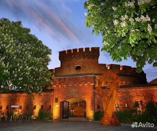 Экскурсия — Калининград — Калининград от трапа сам