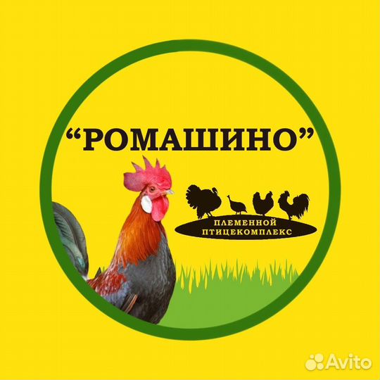 Фасовщица на яйцо