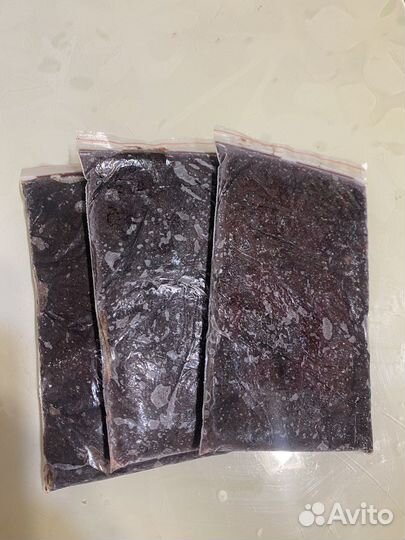 Корм для рыб