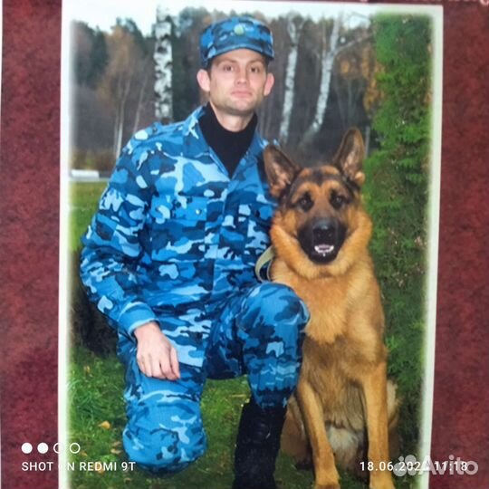 Служебное собаководство