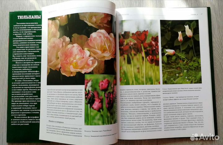 Тюльпаны. Подарочное издание