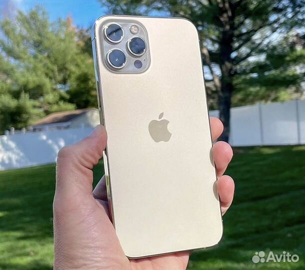 iPhone 12 Pro Max, 256 ГБ