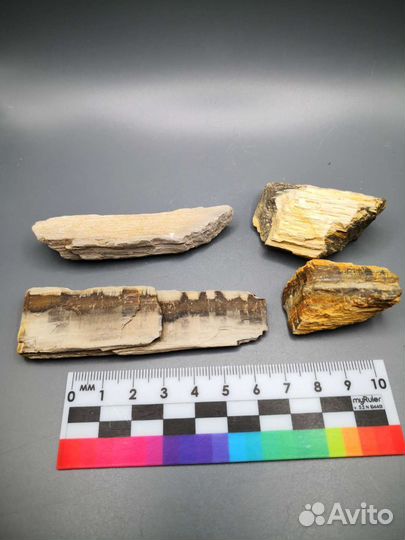 Окаменелые деревья, 4 шт