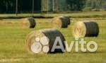Продается сено луговое