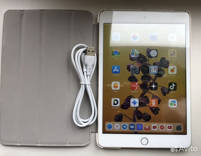 iPad mini 3