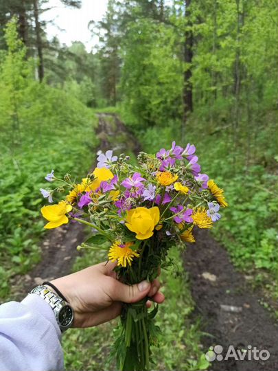 Тур на Айские Притесы+ Идрисовская пещера