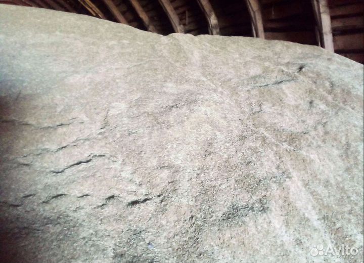 Фасоль, Рожь озимая на корм/посев