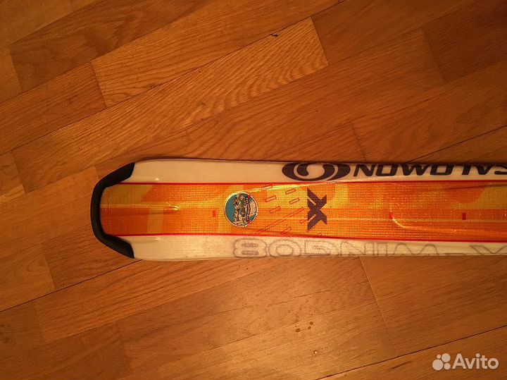 Горные лыжи