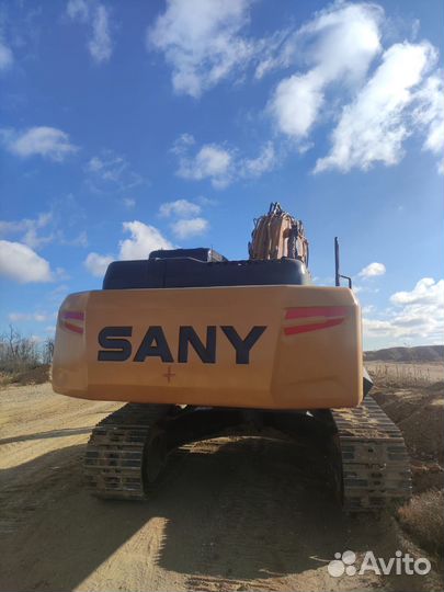 Гусеничный экскаватор Sany SY245H, 2022