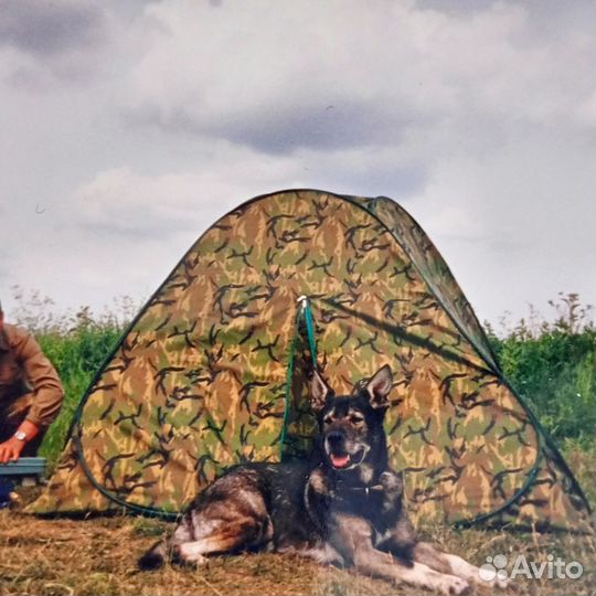 Палатка туристическая