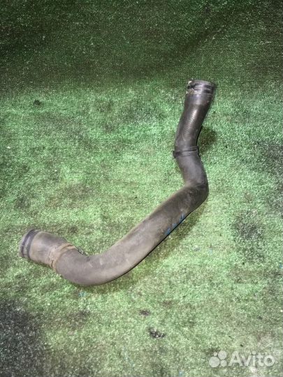 Патрубок охлаждения Volkswagen Passat B6 BMP 2008