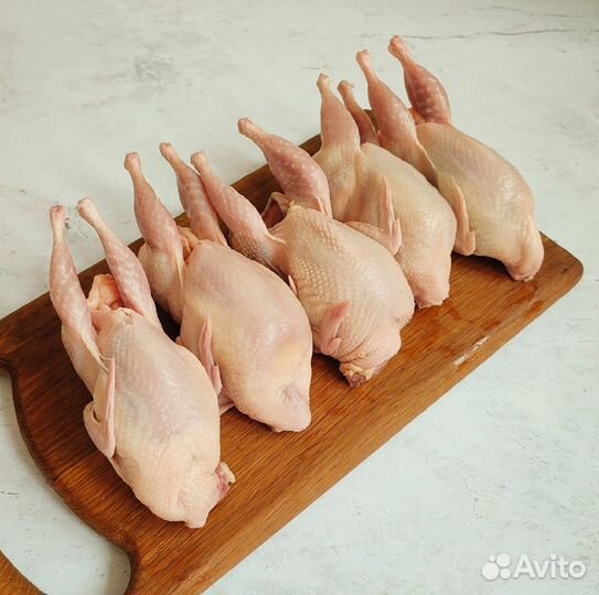 Фермерская курочка, перепела,индюшка с доставкой