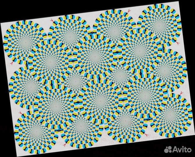 Приглашаем водителя категории В на своем авто Еда