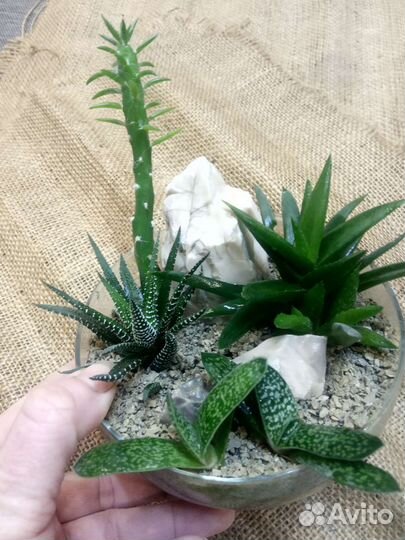 Флорариумы