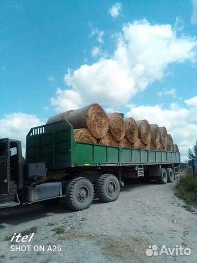 Сено в рулонах с доставкой