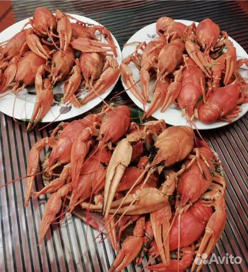 Живые раки Пенза, бесплатная доставка